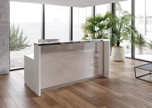 reception in elegante ambiente di lavoro aleaoffice